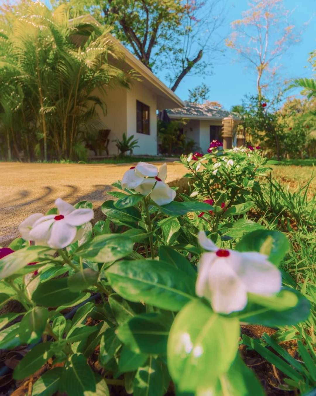 Buddha Retreat Hotel San Juanillo Екстер'єр фото
