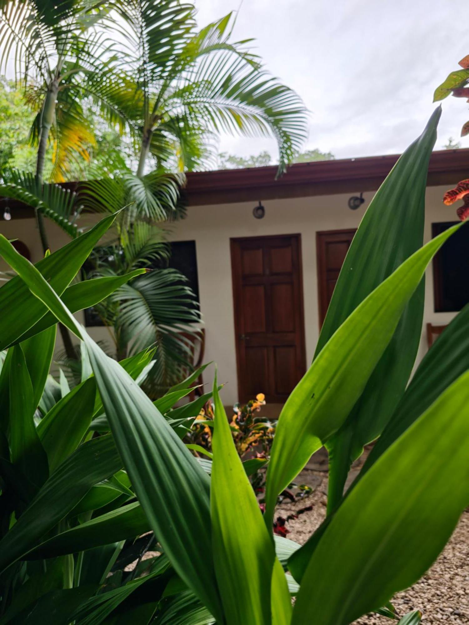 Buddha Retreat Hotel San Juanillo Екстер'єр фото