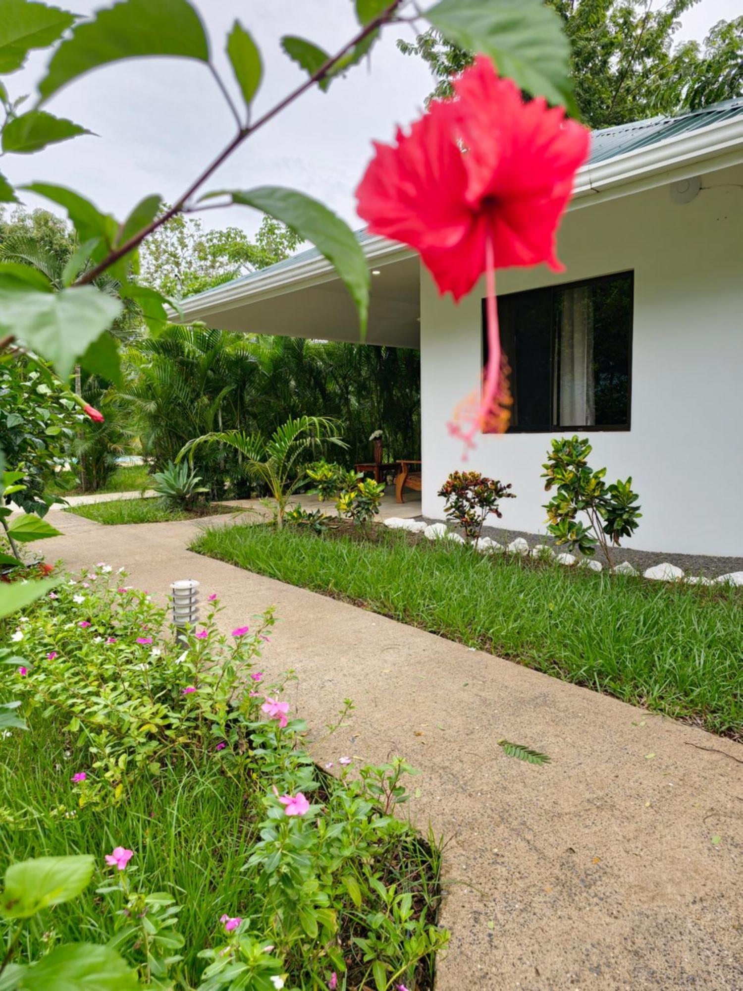 Buddha Retreat Hotel San Juanillo Екстер'єр фото