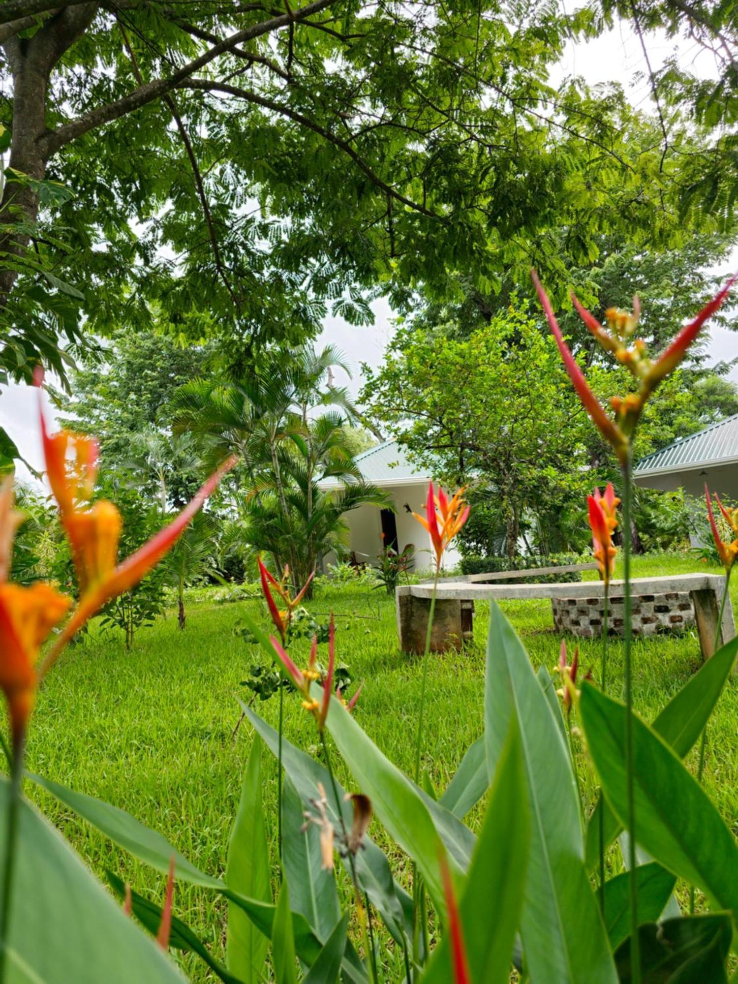 Buddha Retreat Hotel San Juanillo Екстер'єр фото