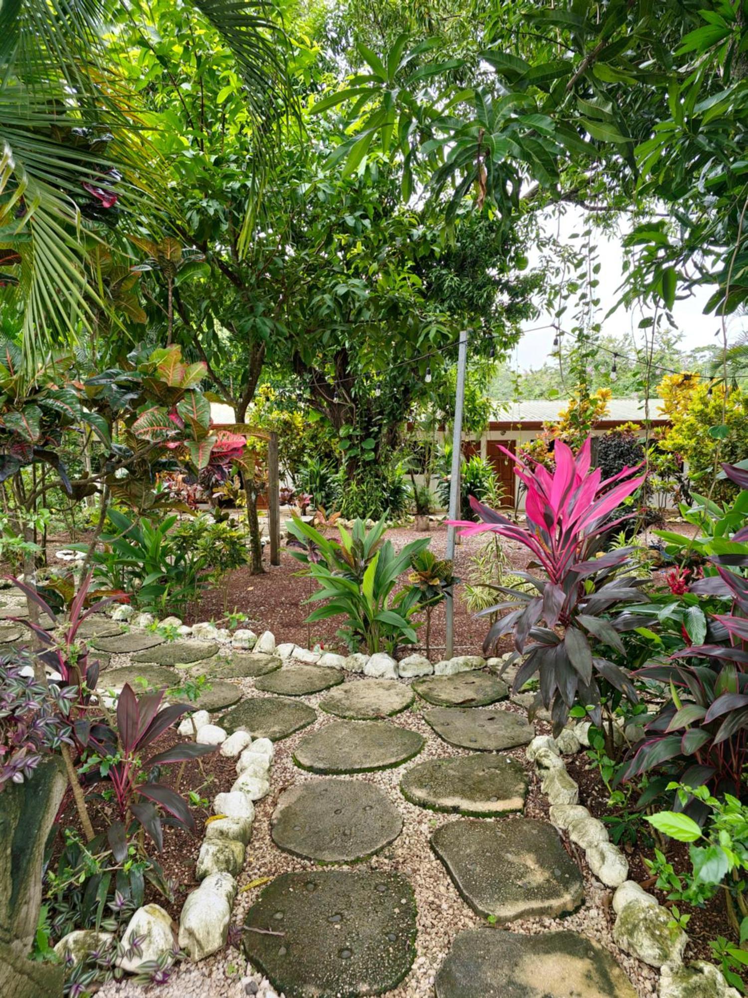 Buddha Retreat Hotel San Juanillo Екстер'єр фото